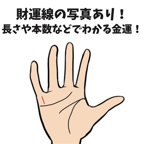 財運 手相|【金運の手相】財運線（財産線）の長さや本数からお金の貯め方。